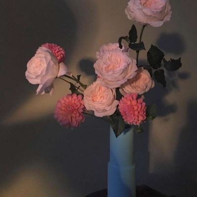 澳门·新甫京娱乐娱城